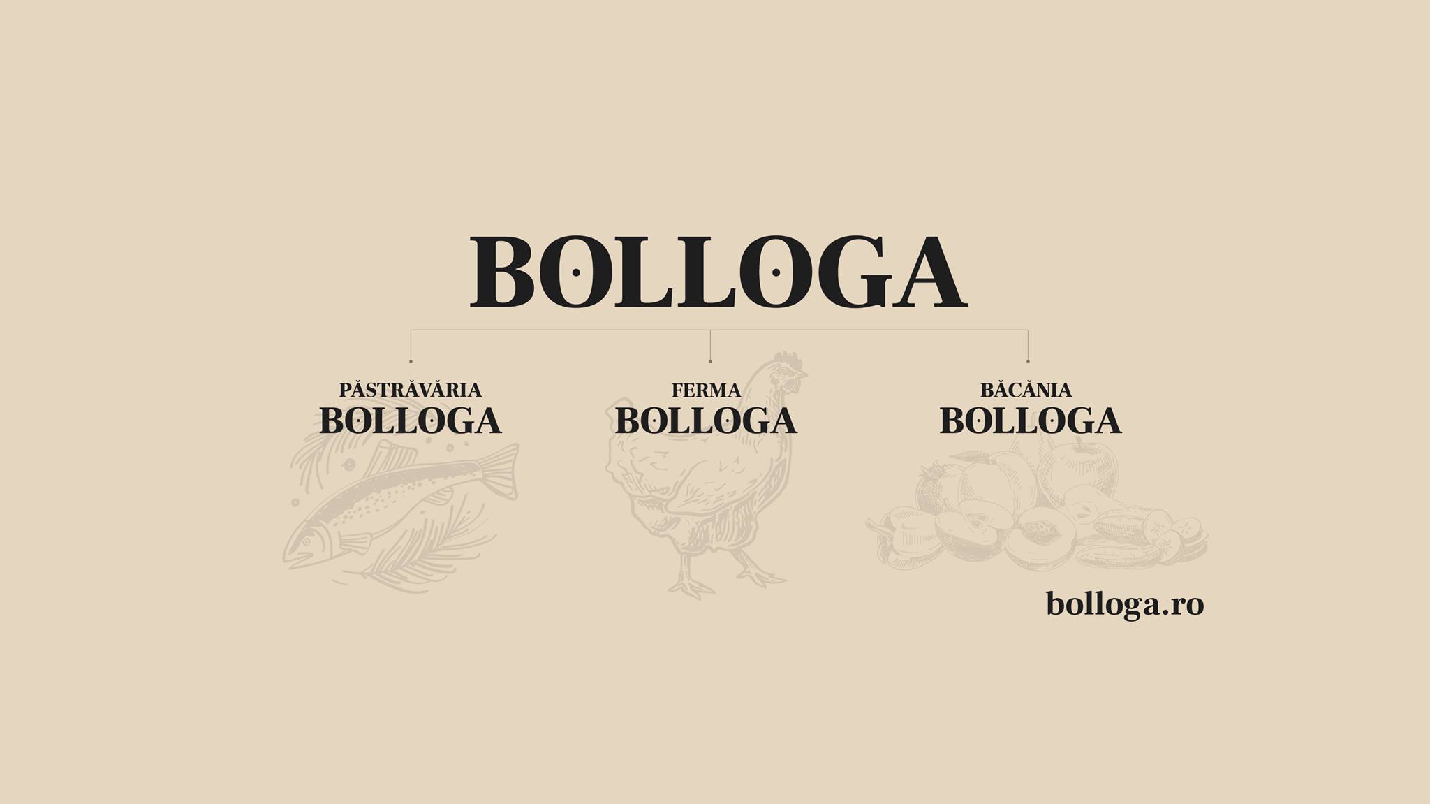 bolloga