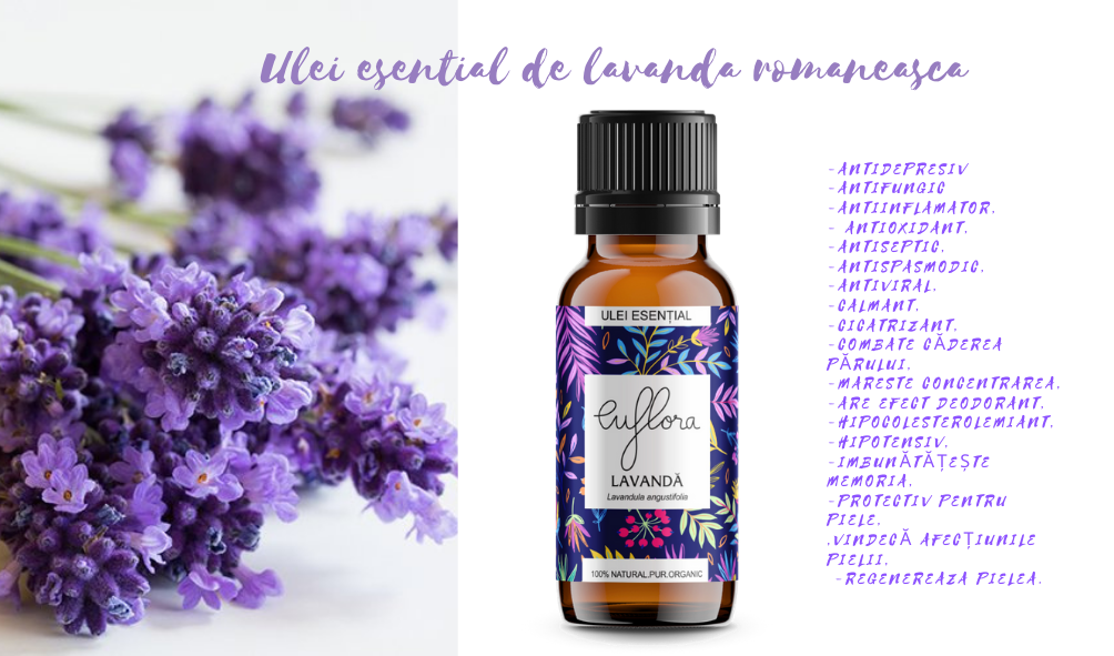 lavanda facebook