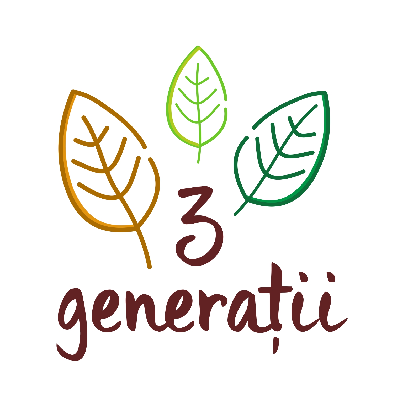 logo 3 generatii