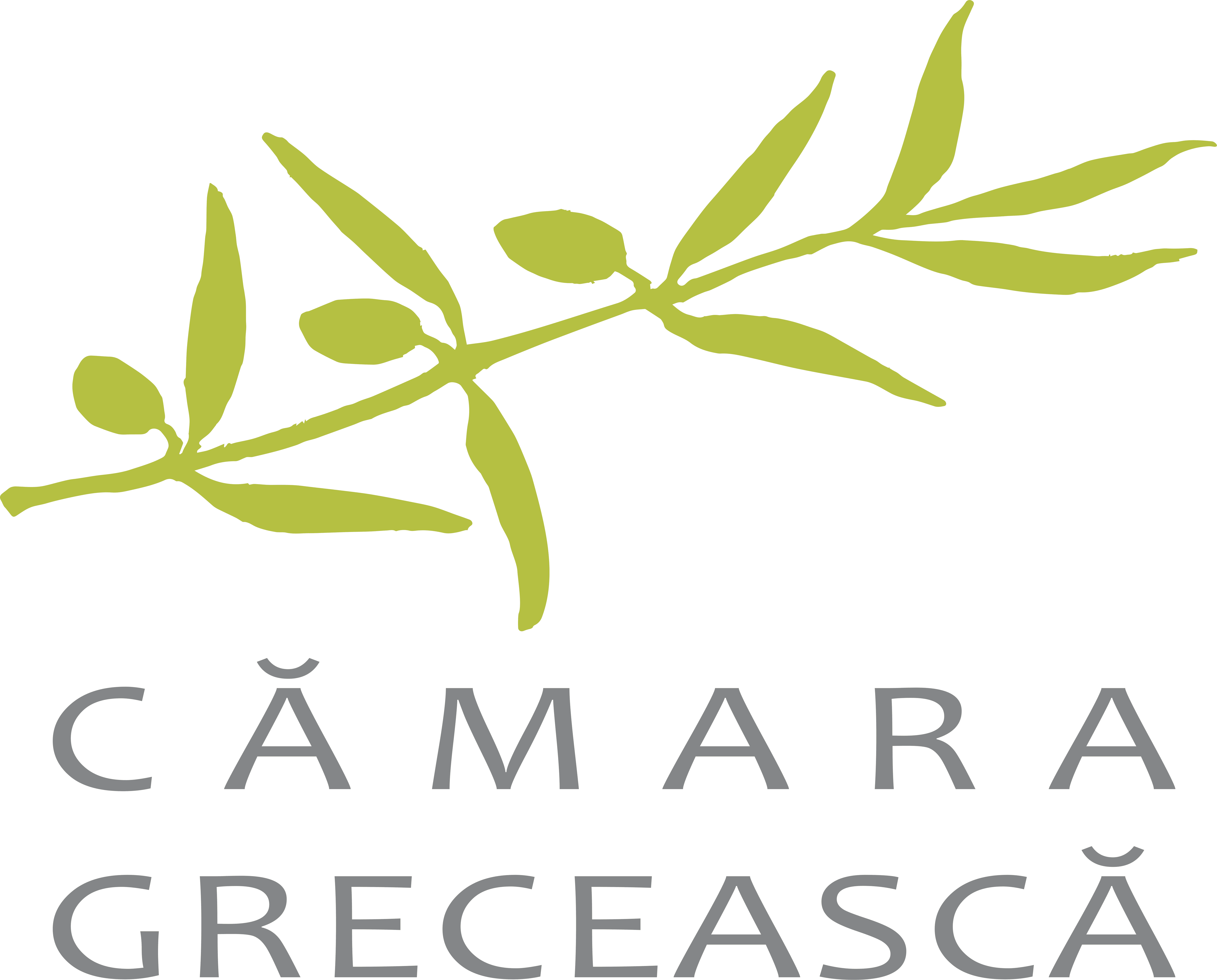 LOGO camara greceasca 50cm