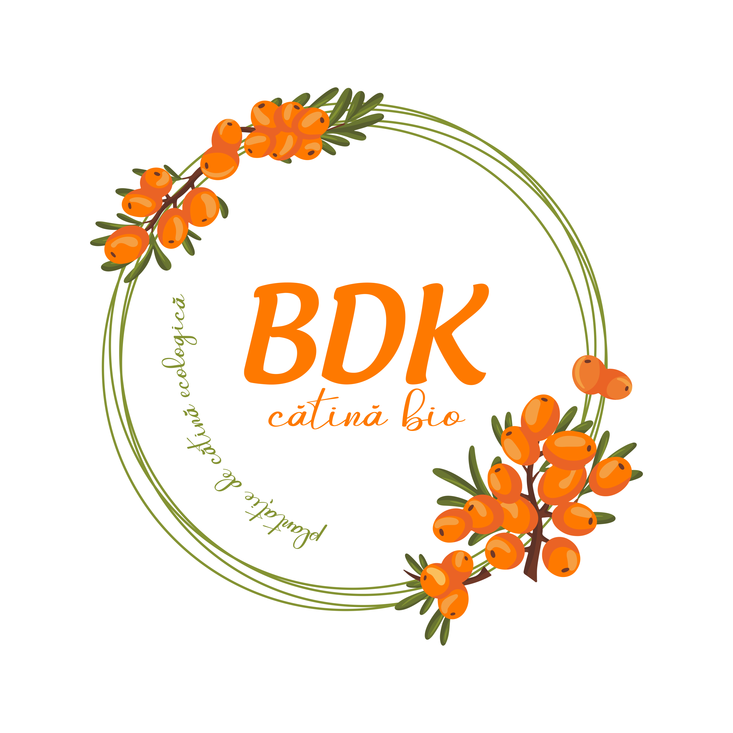 logo nou BDK final curbe transparent 2