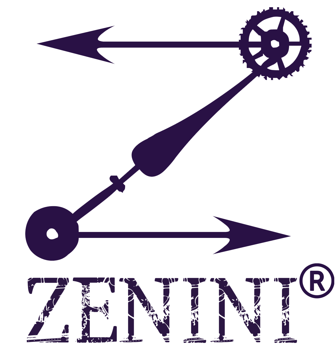 zenini registered 1