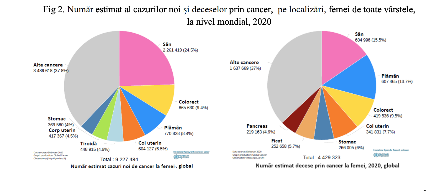 numar estimat cazuri noi decese femei mondial 2020